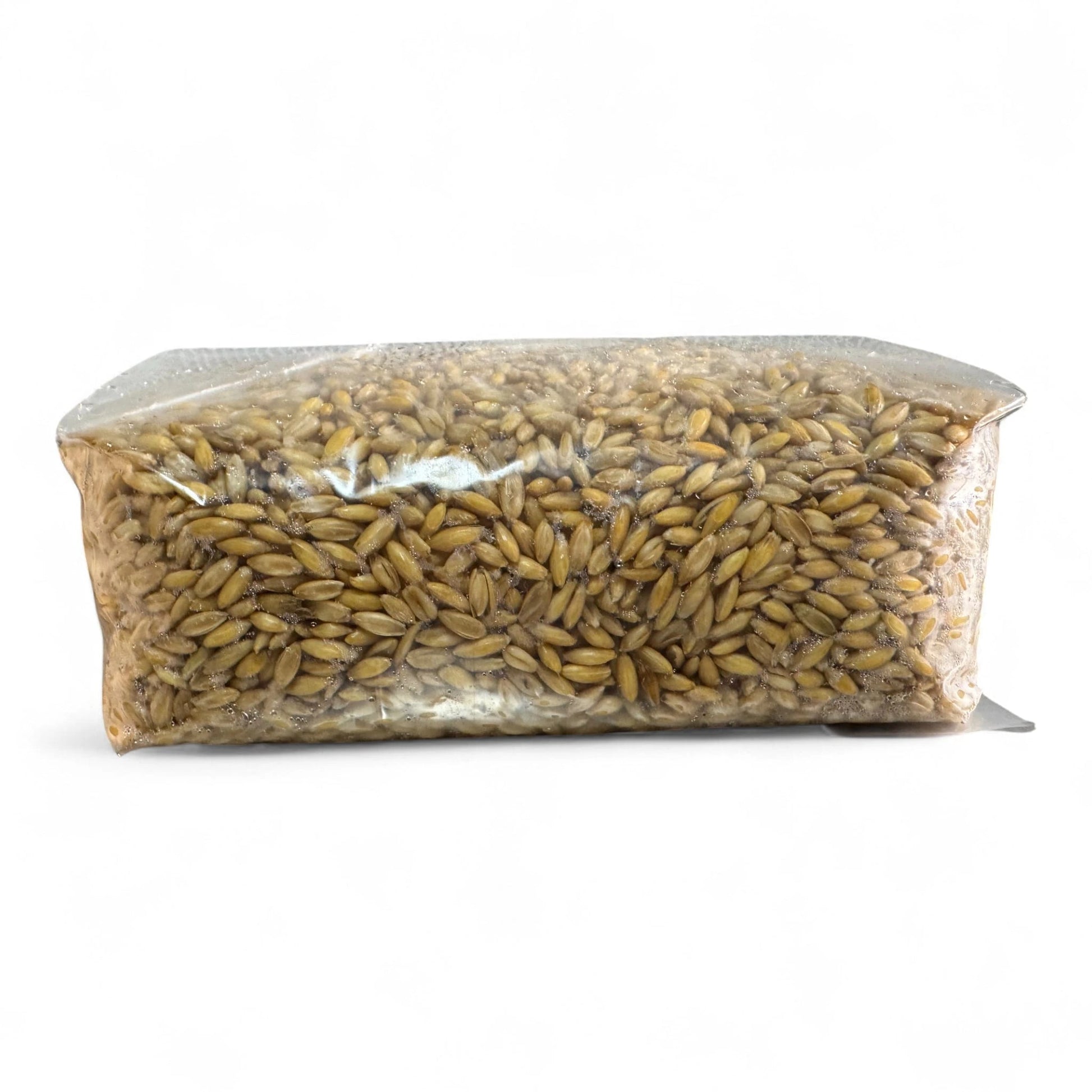 Rhizo Funga Sterilized Grain 5 Ib Organic Whole Oats Sterilized Unicorn 3T Grain Bag