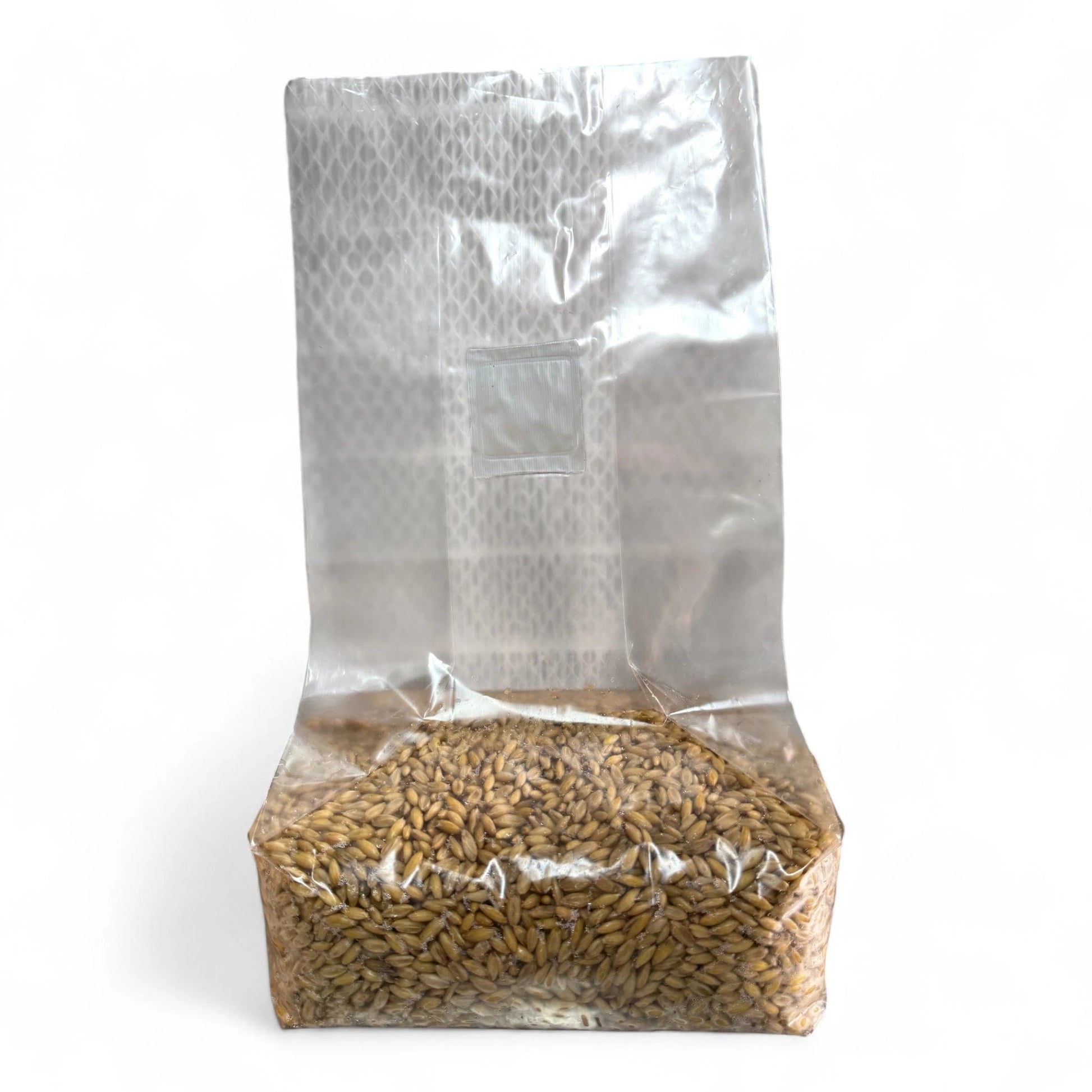 Rhizo Funga Sterilized Grain 5 Ib Organic Whole Oats Sterilized Unicorn 3T Grain Bag