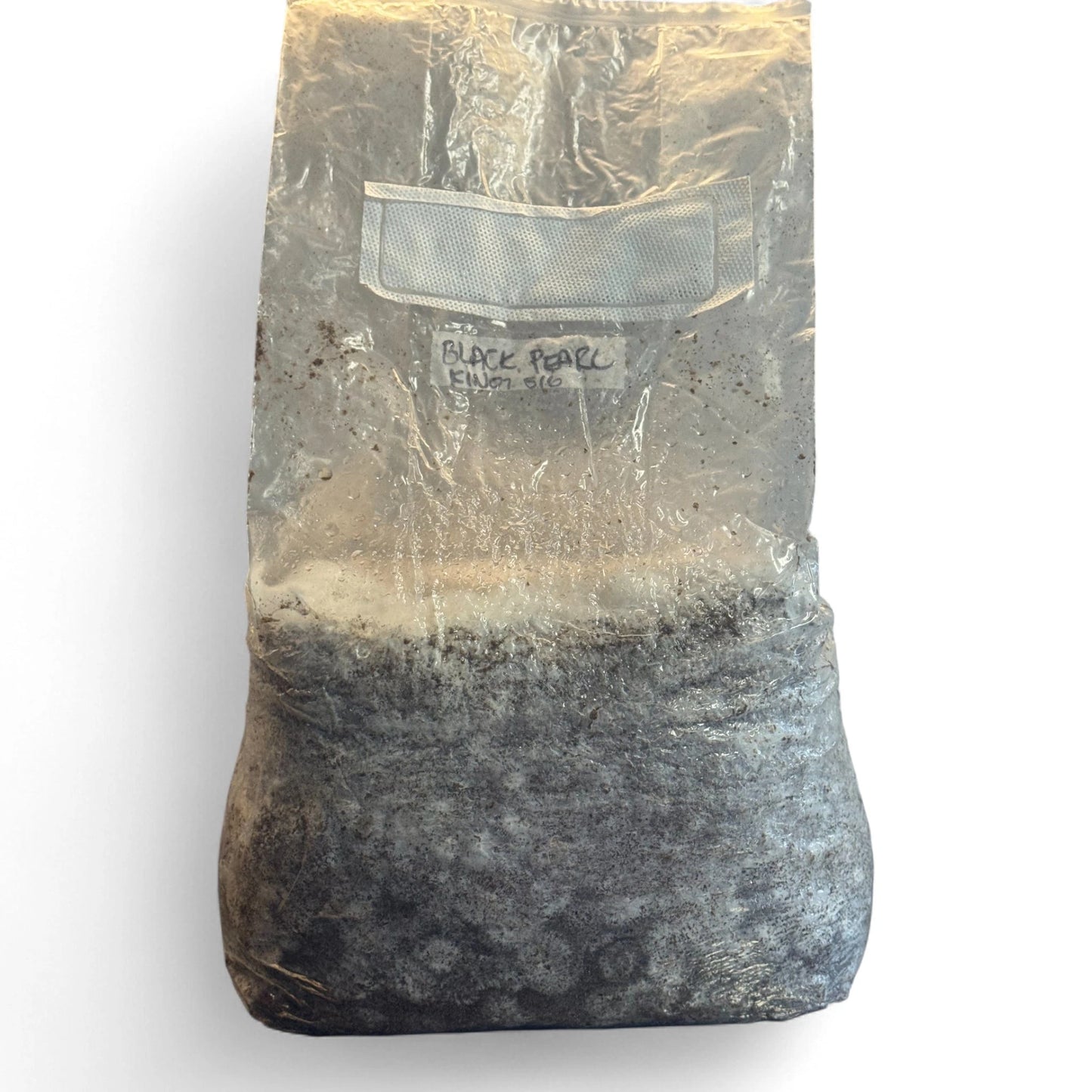 Rhizo Funga Substrate 10 Ib Sterilized Masters Mix XLSA Unicorn Bag