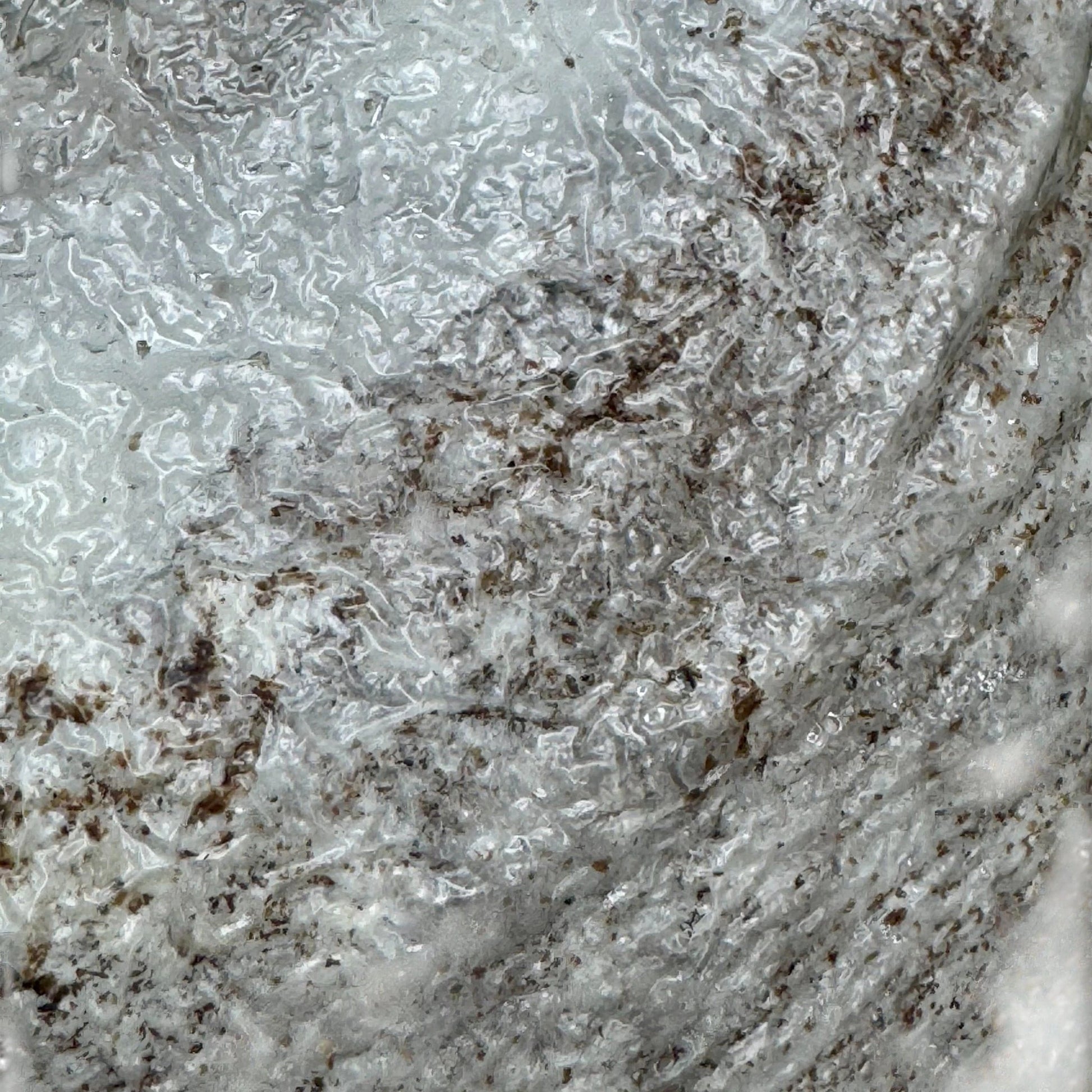 Rhizo Funga Substrate 10 Ib Sterilized Masters Mix XLSA Unicorn Bag